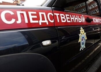 202300 In Troitsk, in a family where a two-year-old daughter died at the hands of a father, three more small children