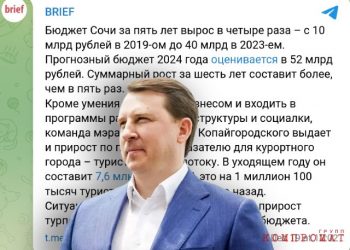 1703351002 alexey kopaygorodskiy brief Budget schemes of Kopaygorodsky’s team