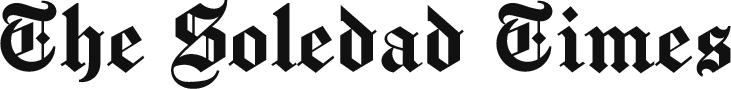 Russian Crimes Daily News